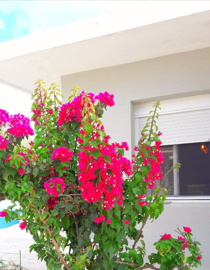 Casa Katina , Villa In Lagana, Agrilia Area Laganas Luaran gambar