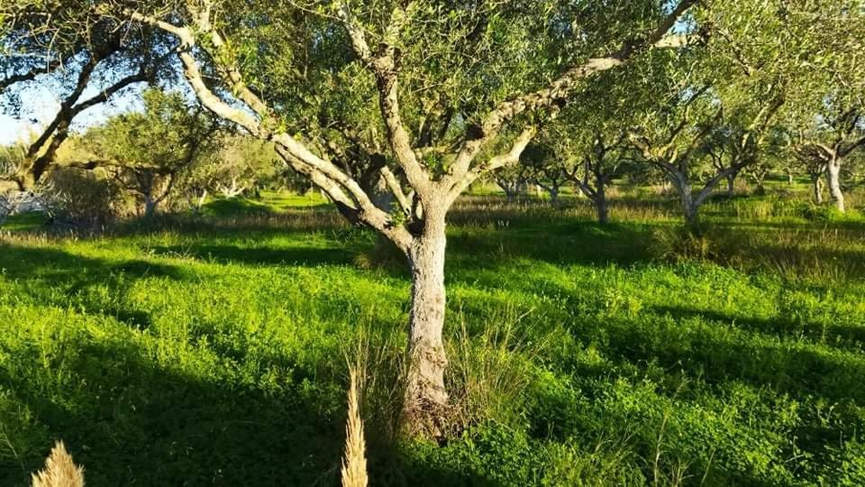 Casa Katina , Villa In Lagana, Agrilia Area Laganas Luaran gambar