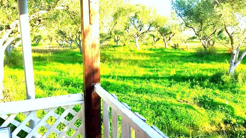 Casa Katina , Villa In Lagana, Agrilia Area Laganas Luaran gambar