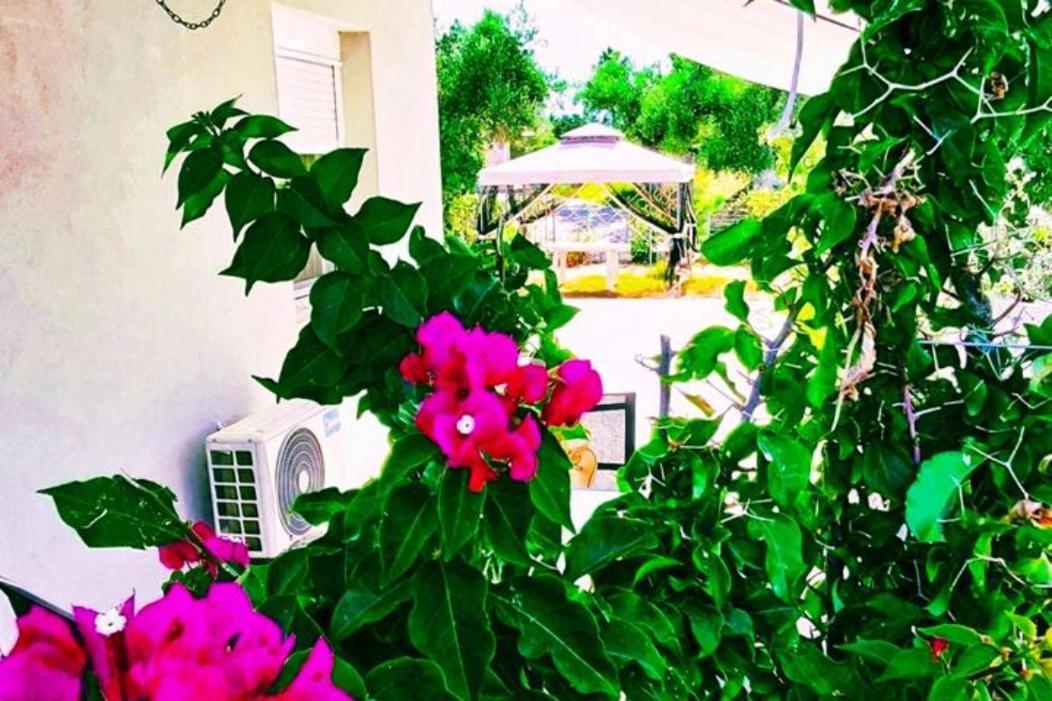 Casa Katina , Villa In Lagana, Agrilia Area Laganas Luaran gambar